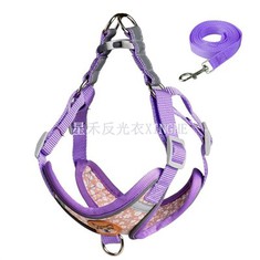 Veiligheid reflecterende riem hond